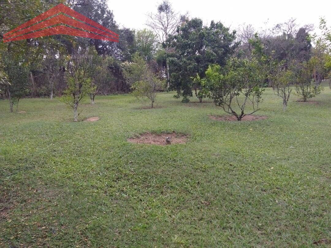 Fazenda à venda com 2 quartos, 250m² - Foto 9