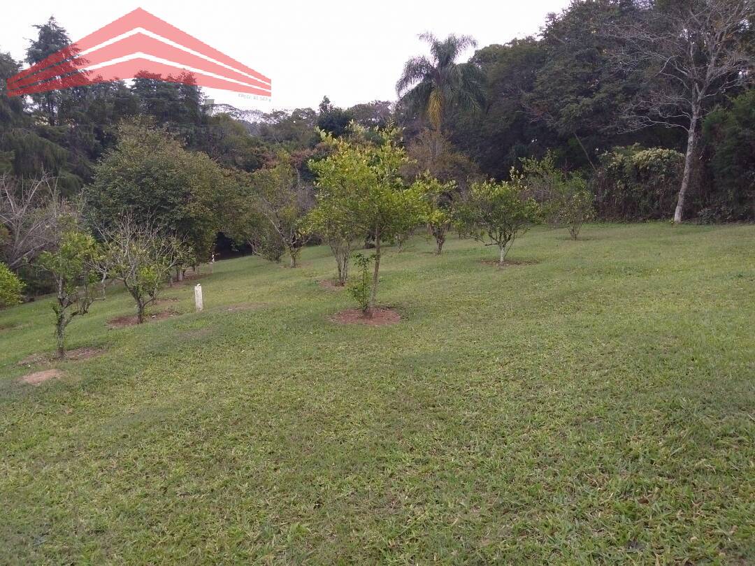 Fazenda à venda com 2 quartos, 250m² - Foto 6