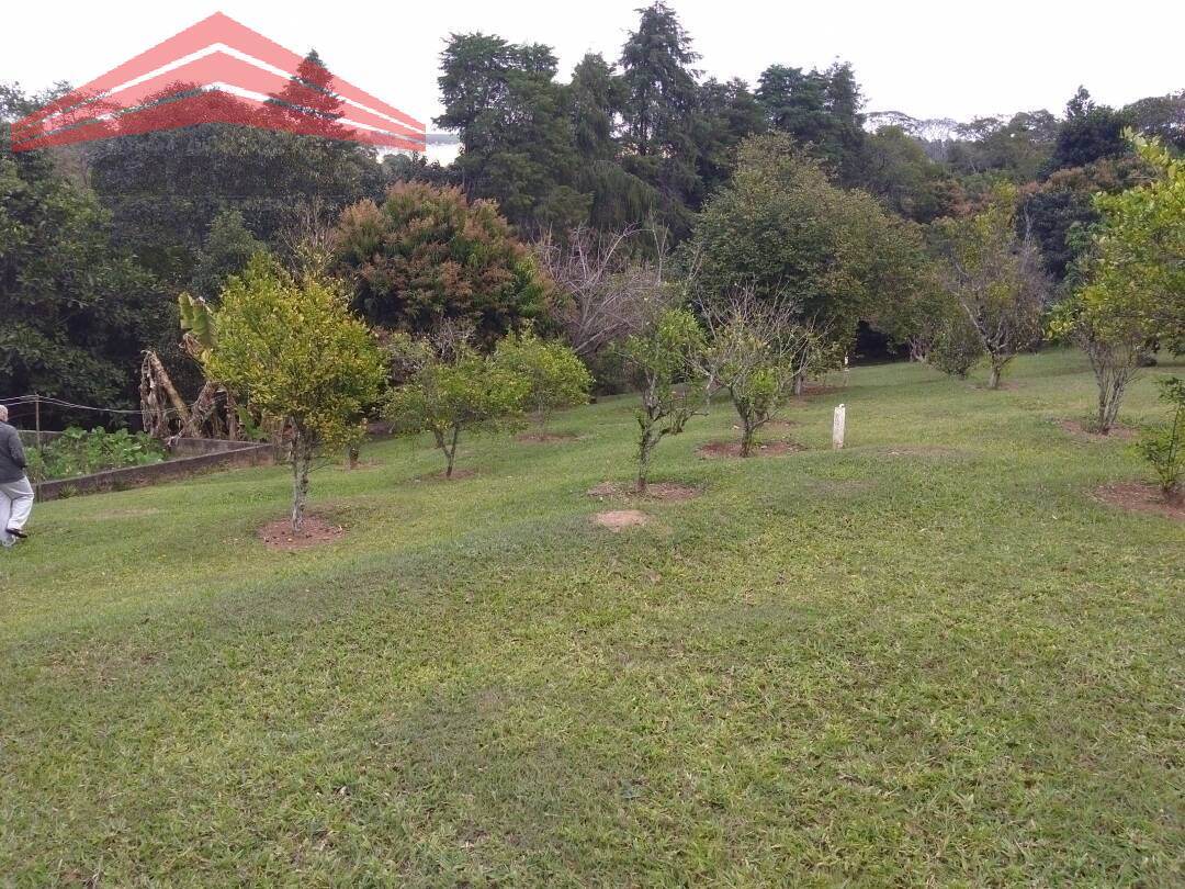 Fazenda à venda com 2 quartos, 250m² - Foto 7