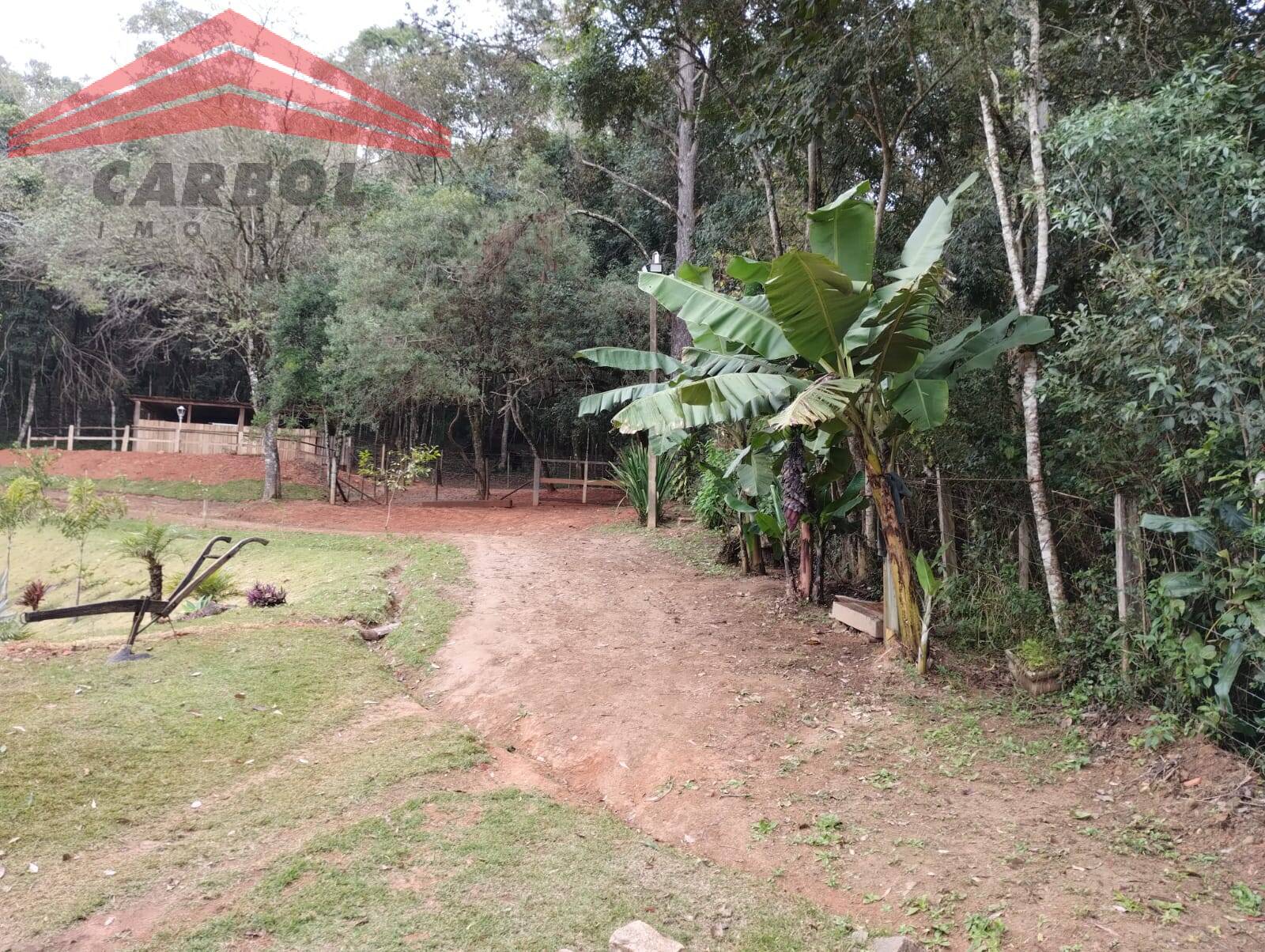 Fazenda à venda com 2 quartos, 150m² - Foto 65