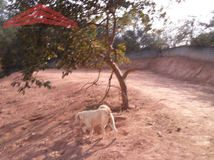 Fazenda à venda com 2 quartos, 70m² - Foto 3