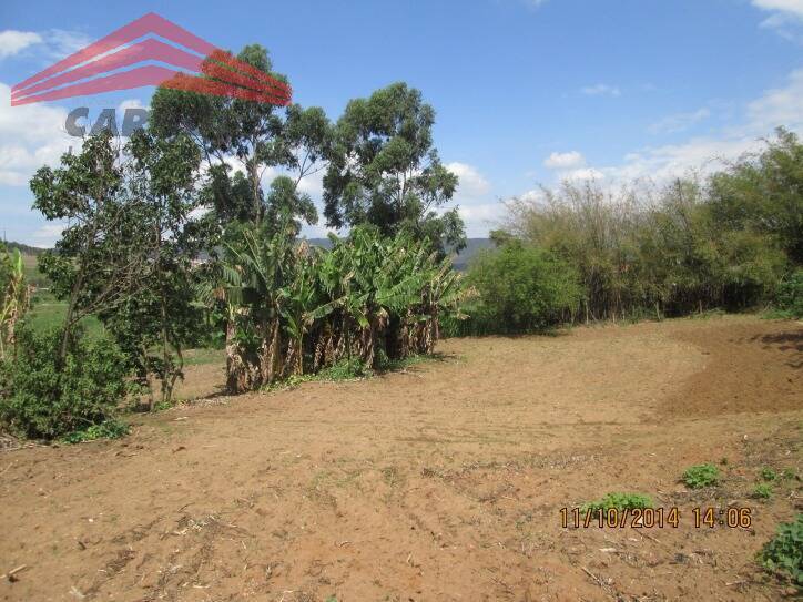 Fazenda à venda com 3 quartos - Foto 7